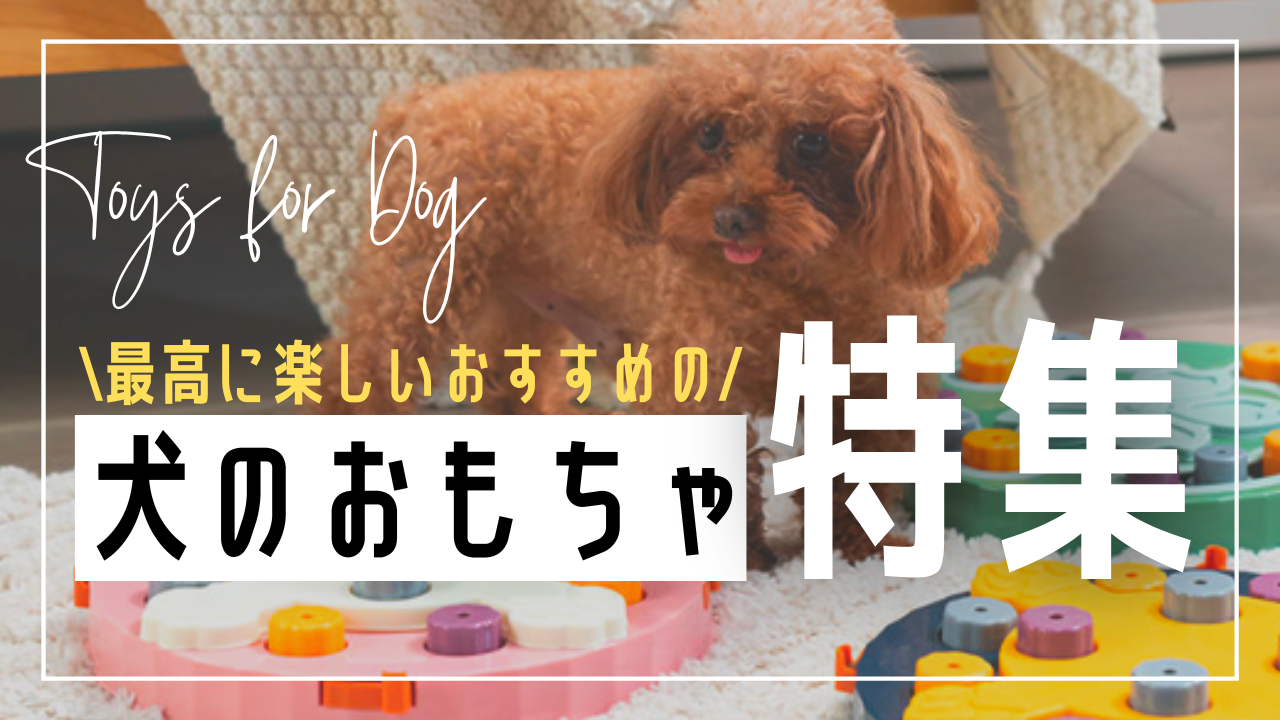 ネットで買える 犬のおもちゃオススメ10選 Amazon 楽天 Aliexpress ネットで買える 犬のおもちゃオススメ10選 Amazon 楽天 Aliexpress